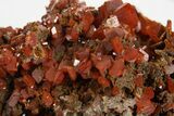 Fiery Red Wulfenite Crystal Cluster - Kuruktag Mountains, China #337089-2